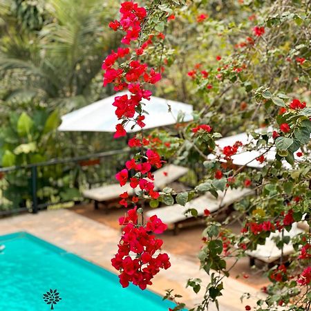 Mediterraneo Suites Puerto Iguazu Ngoại thất bức ảnh