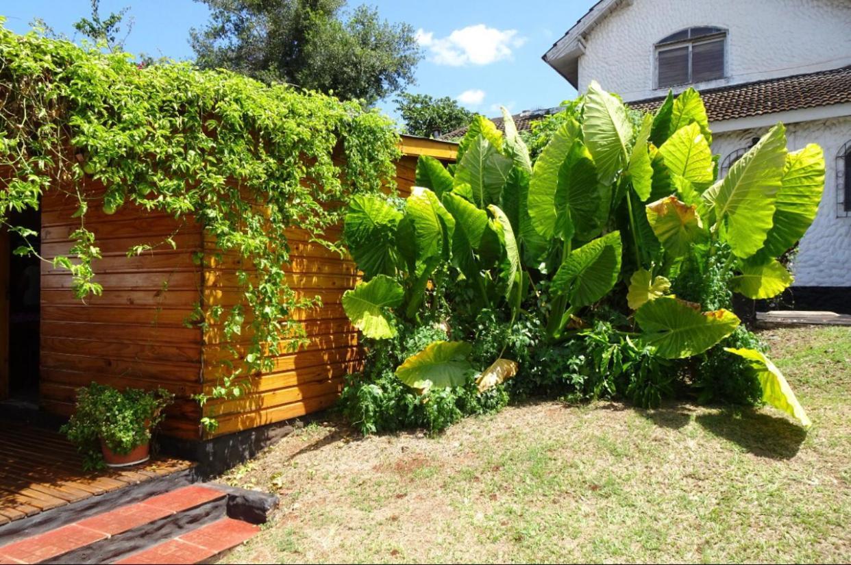 Mediterraneo Suites Puerto Iguazu Ngoại thất bức ảnh