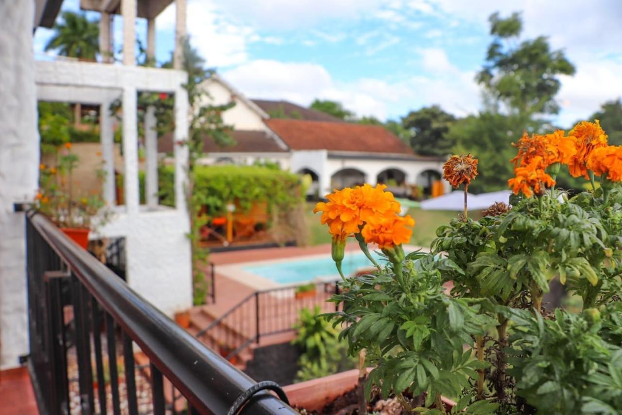 Mediterraneo Suites Puerto Iguazu Ngoại thất bức ảnh