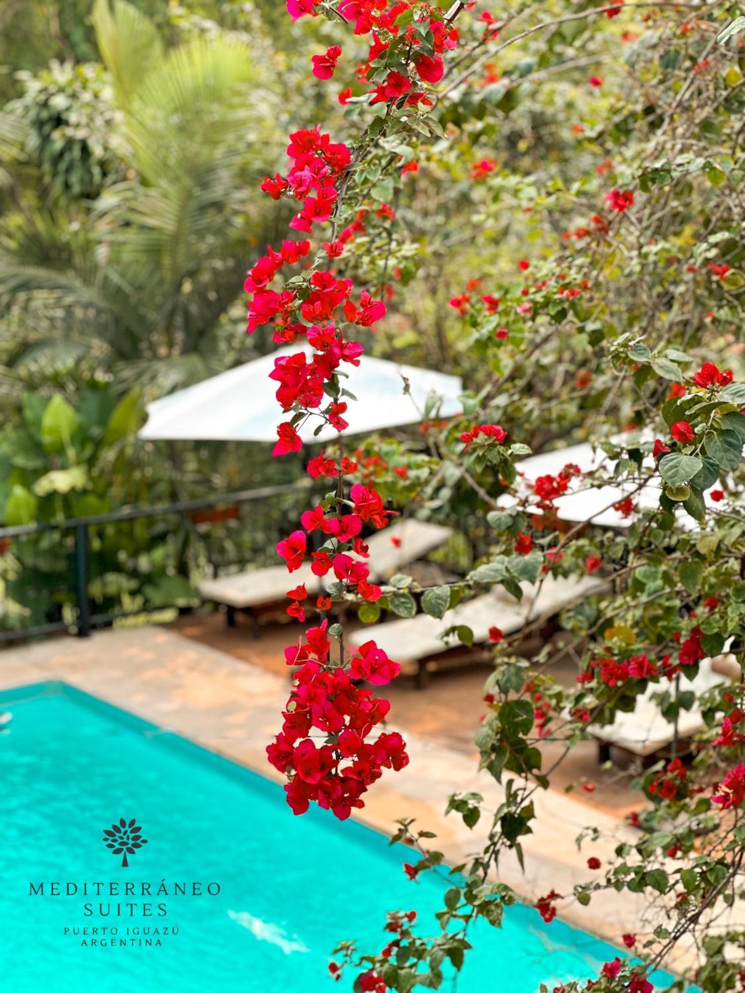 Mediterraneo Suites Puerto Iguazu Ngoại thất bức ảnh
